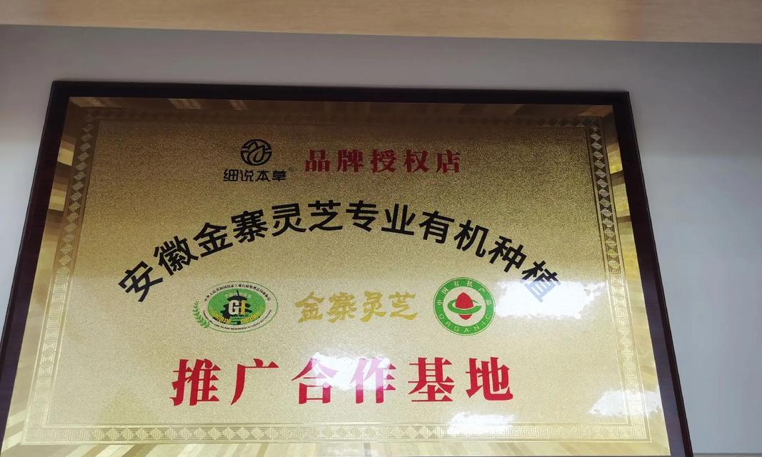 泰州市免费网站推广如何进行？有哪些有效方法？