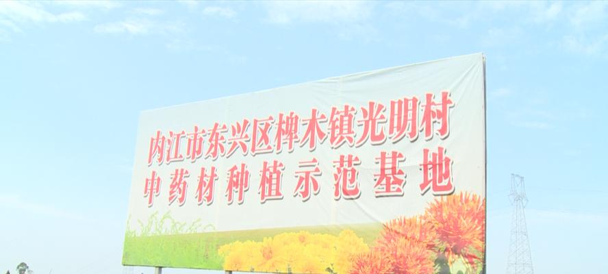内江网站如何推广效果最好？有哪些有效方法？