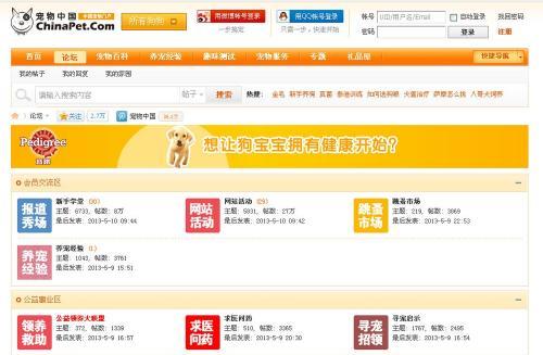 宠物网站建站分析怎么写？需要考虑哪些因素？