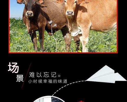 如何找牛肉货源网站推广？寻找优质牛肉货源的策略是什么？