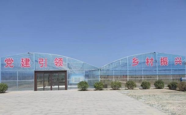 沾化区网站推广方法有哪些？如何提高网站流量？