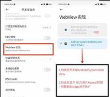Webview不支持哪些HTML特性？如何解决兼容性问题？