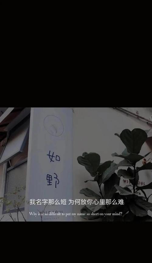 抖音只有文案怎么剪辑？视频编辑的步骤和技巧是什么？