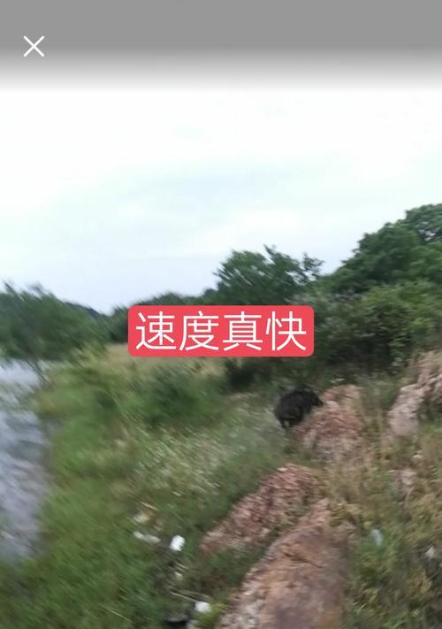 随风剪辑快手怎么赚钱的？有哪些赚钱方法和技巧？