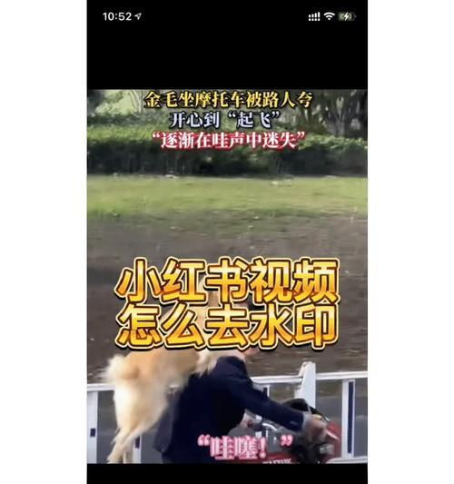 小红书舞蹈视频怎么剪辑？剪辑过程中常见问题有哪些？
