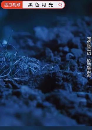 抖音搜月光剪辑怎么弄视频？视频编辑的步骤和技巧是什么？