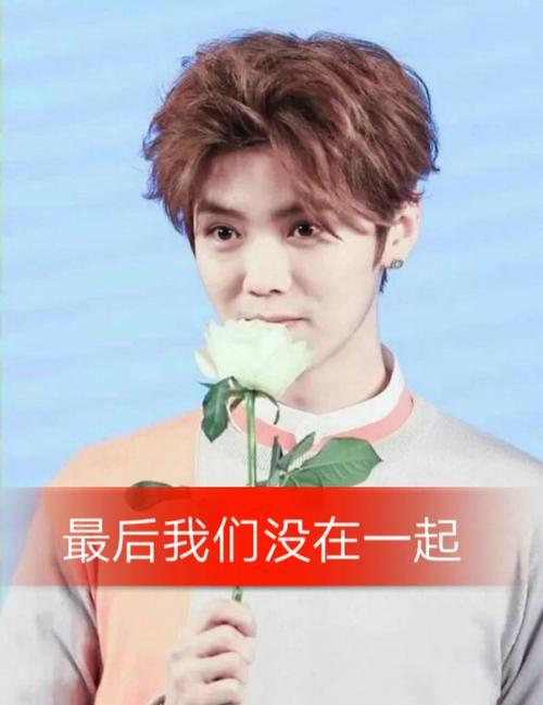 快手剪辑鹿哥怎么录？操作步骤和常见问题解答？