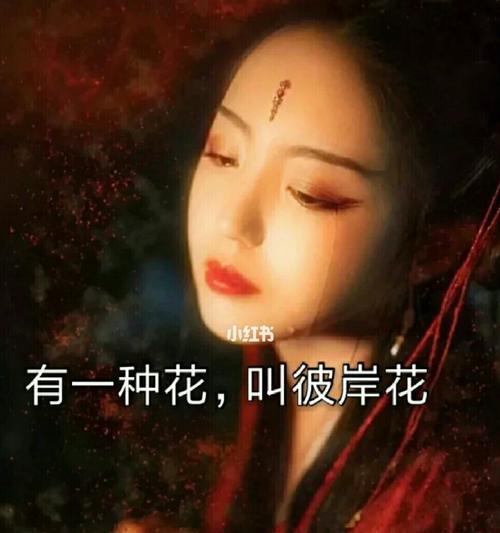 魔女剪辑小红书教程怎么找？视频制作步骤详细解析？