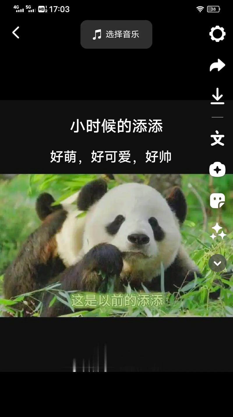 熊猫剪辑抖音账号登录不了怎么办？