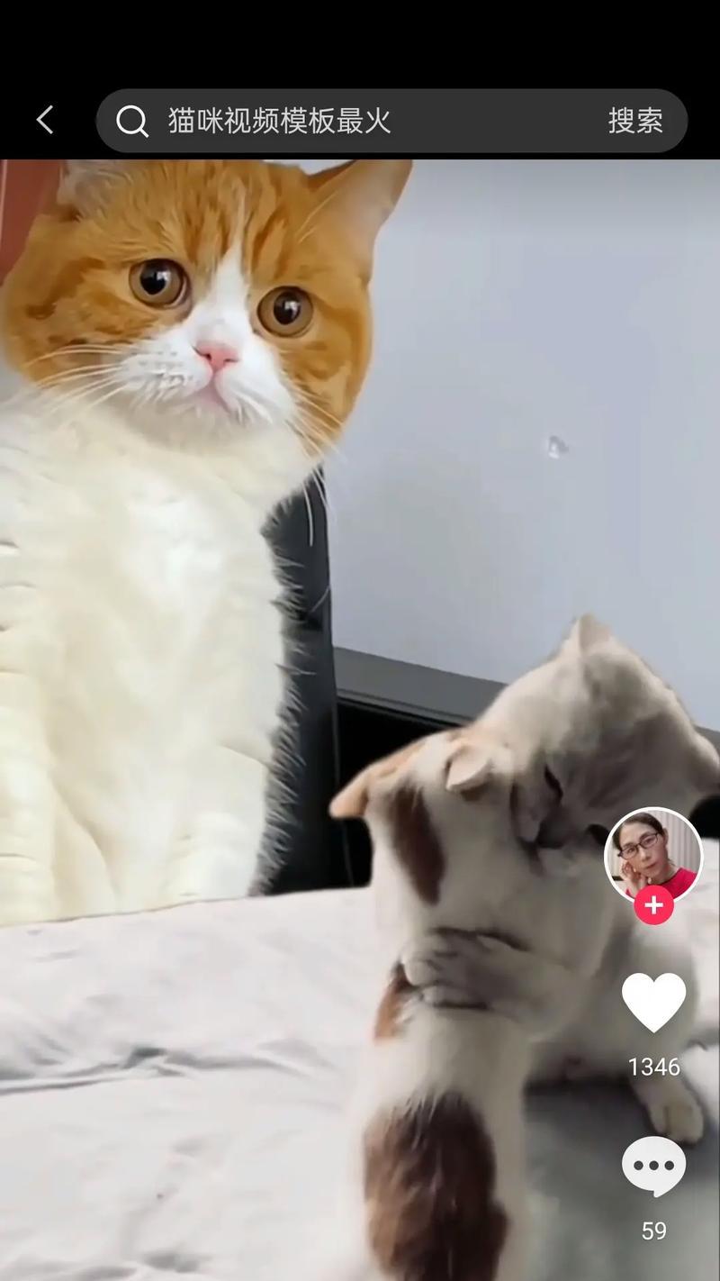 抖音动物对话视频剪辑技巧是什么？如何制作出有趣的互动效果？