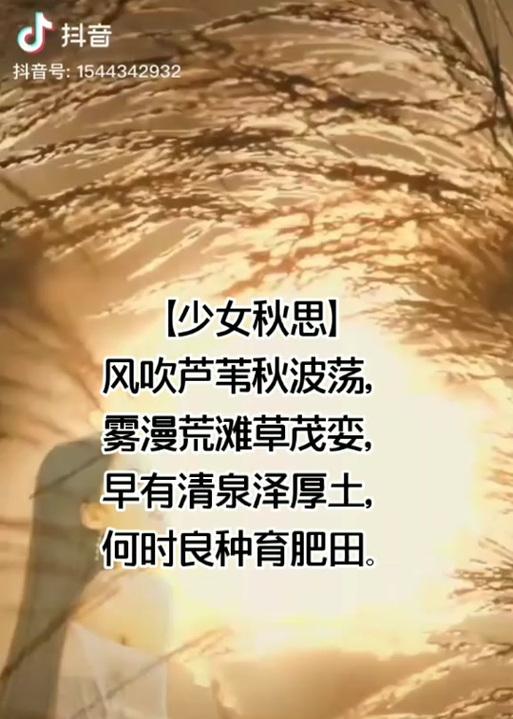 抖音芦苇剪辑怎么做？视频编辑的步骤和技巧是什么？