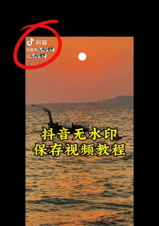 抖音超萌图片剪辑教程？如何快速制作？