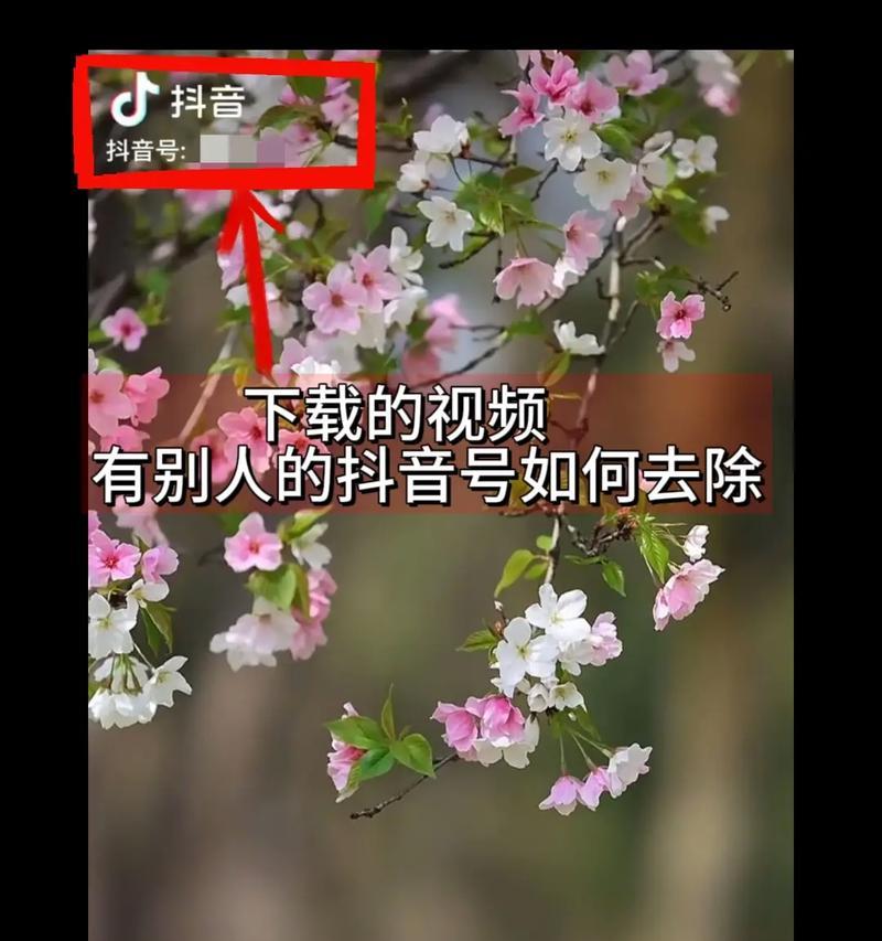 抖音视频剪辑技巧：如何让箭头动起来？