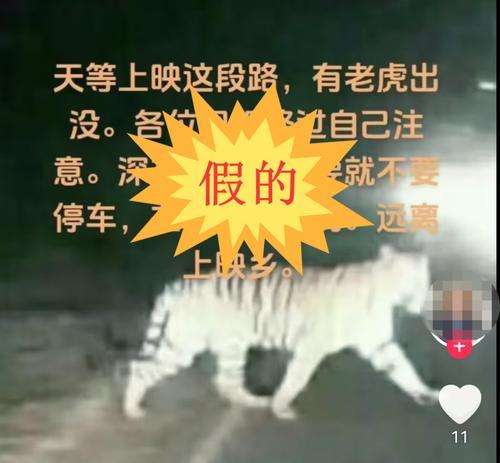 百色短视频优化怎么做出来的？优化过程中常见的问题有哪些？