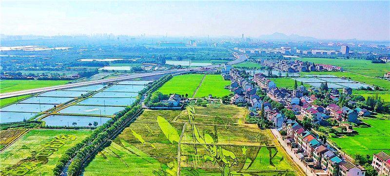 绍兴短视频优化怎么样？如何提升短视频在绍兴的SEO表现？