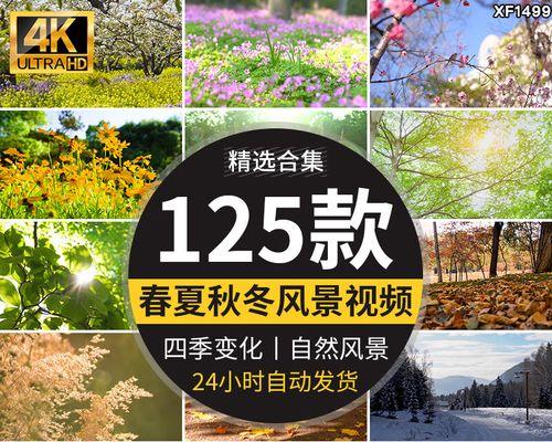 抖音绿植视频剪辑技巧有哪些？如何快速编辑出高质量内容？