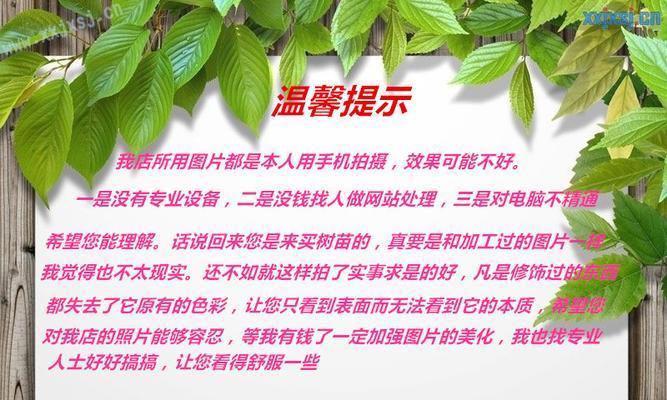 如何做网站找人推广呢赚钱？有效策略和常见问题解答？