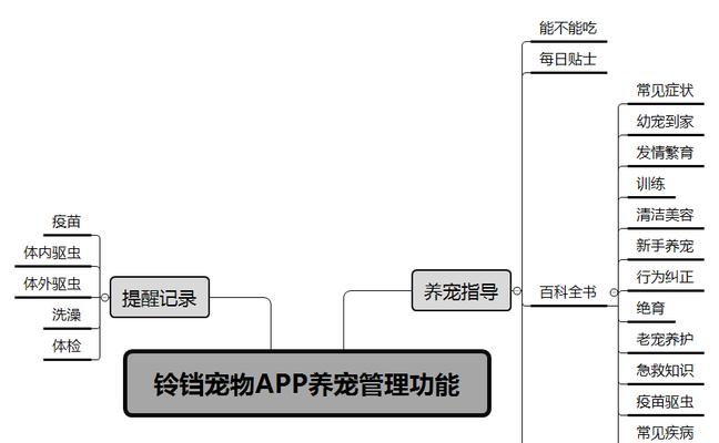 宠物同类网站分析怎么写？如何进行有效的网站比较？