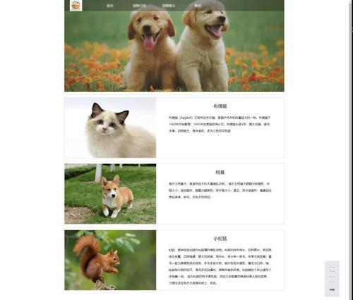 HTML代码编写工具有哪些？如何选择合适的编辑器？