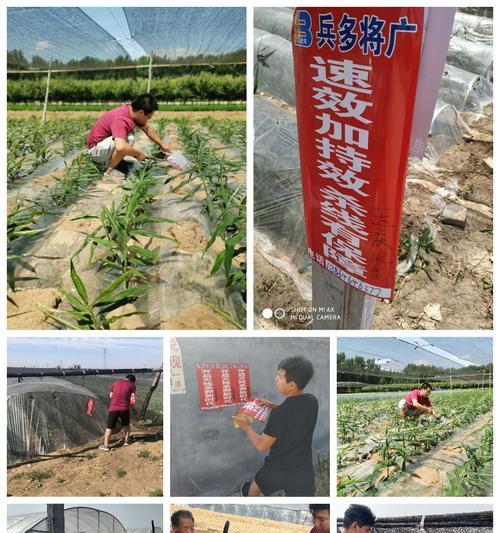 昌邑网站如何推广？有哪些有效的推广策略？