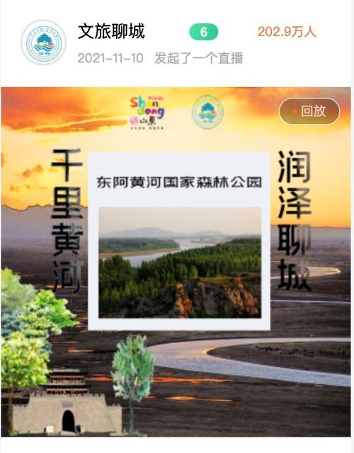 聊城精美网站如何做推广？有哪些有效的推广策略？