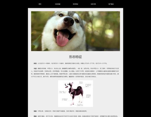 哪些网站或app使用了HTML技术？如何识别它们？