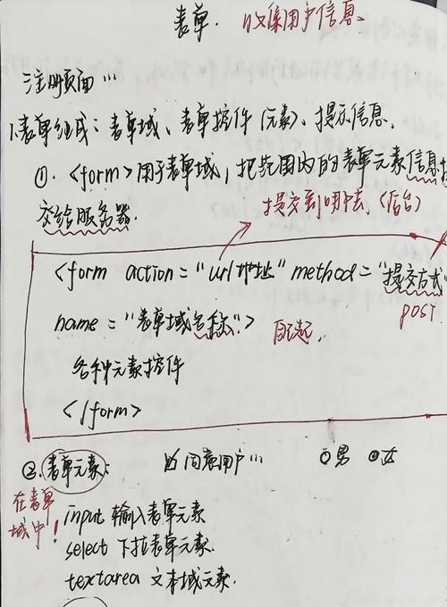 HTML表单主要标记有哪些？如何正确使用它们？