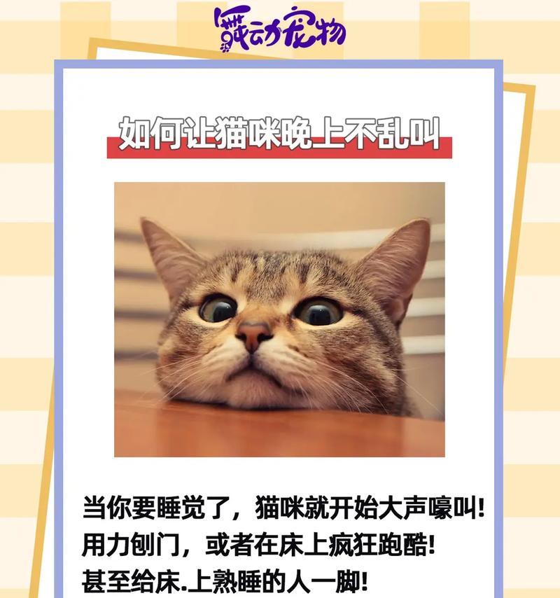 猫抖音音乐剪辑功能怎么用？剪辑音乐片段有哪些技巧？