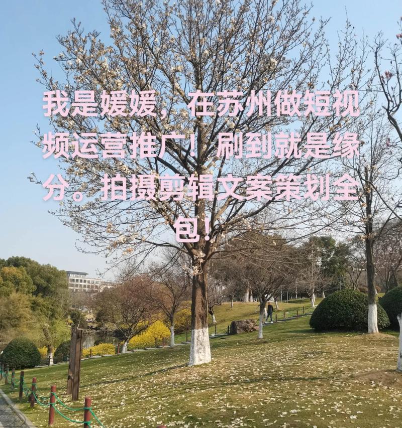 抖音剪辑怎么配文案