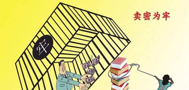 为何这个插件网站需要保密？