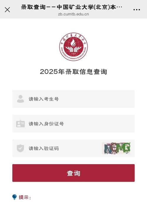 SEO综合查询工具如何使用？常见问题有哪些解决方法？