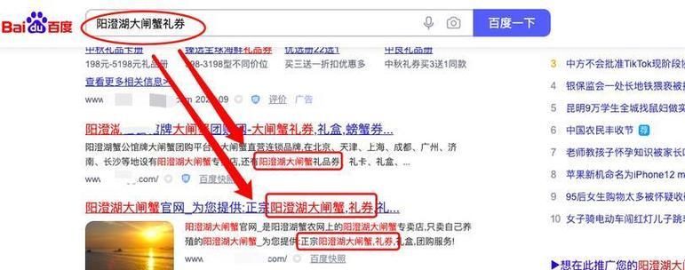 推广家的seo综合查询是什么？如何利用它优化网站？