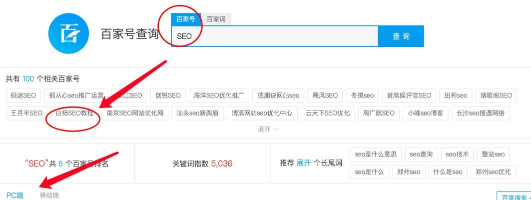 如何进行有效的SEO查询？SEO查询的正确步骤是什么？