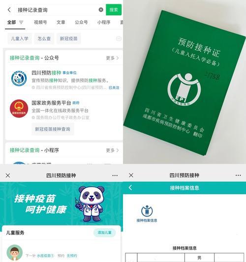 白城seo查询怎么操作？操作步骤和常见问题解答是什么？