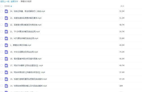 快速排名技巧详解（15个行之有效的SEO排名技巧助力你的网站）