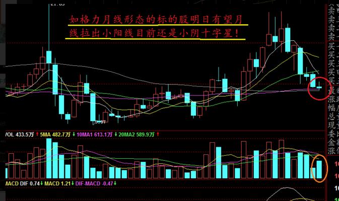 定期更新网站的重要性（为什么每个网站都需要定期更新以保持活力？）
